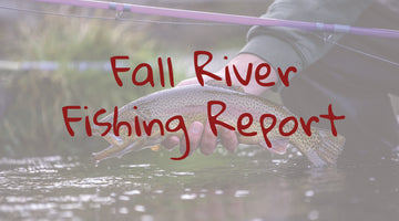 New Years Report From The Fall River