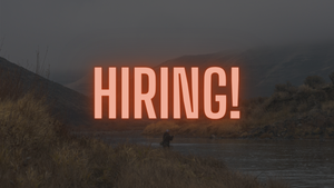 We are hiring- Marketing and E-commerce Intern