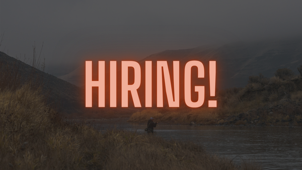 We are hiring- Marketing and E-commerce Intern