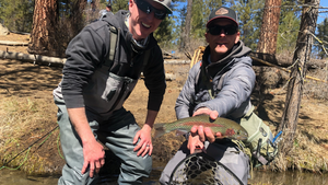 Fall River Report 4/2/21