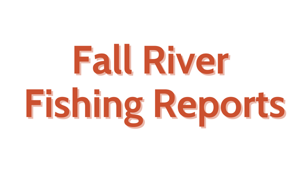 Fall River Update - June 3rd, 2022