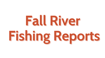 Fall River Update - June 3rd, 2022