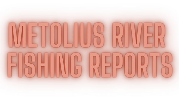 Metolius River Report 2/25/22