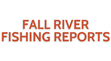 Fall River Update June 17, 2022