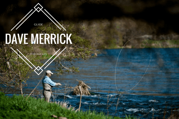 Guide Chronicles: Get to Know Shop Manager Dave 