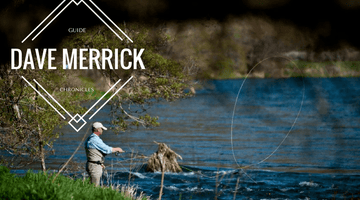 Guide Chronicles: Get to Know Shop Manager Dave 