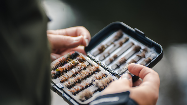 How and When To Change Flies?