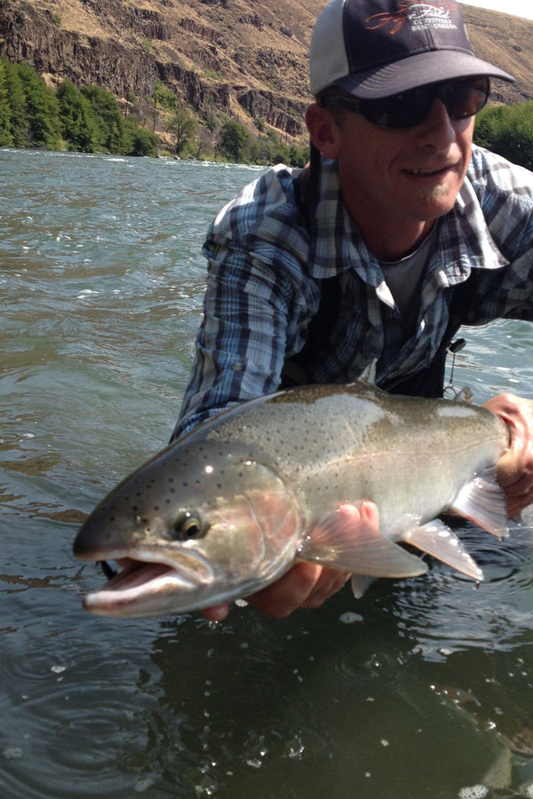 The Local Haps, Mid-August Style