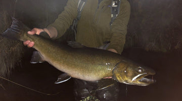 Metolius River Update