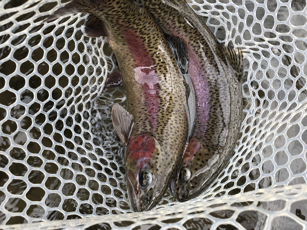 Lower Deschutes Around Maupin In The Early Spring