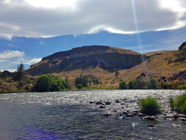 Guide Chronicles: Reporting Live from the Lower Deschutes with Griff Marshall