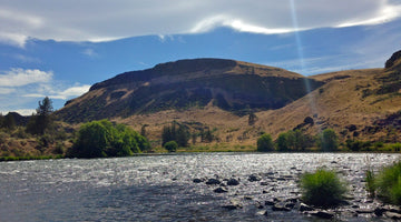 Guide Chronicles: Reporting Live from the Lower Deschutes with Griff Marshall