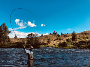 Lower Deschutes Update