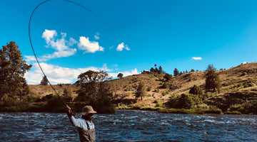 Lower Deschutes Update