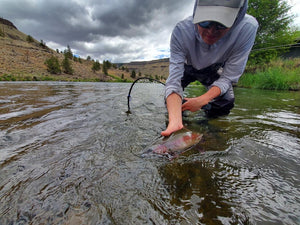 Lower Deschutes Update