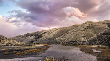 Guide Chronicles: The Fly and Field Crew Goes Fishin'