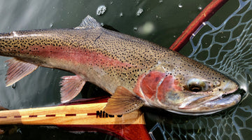 Crane Prairie Update