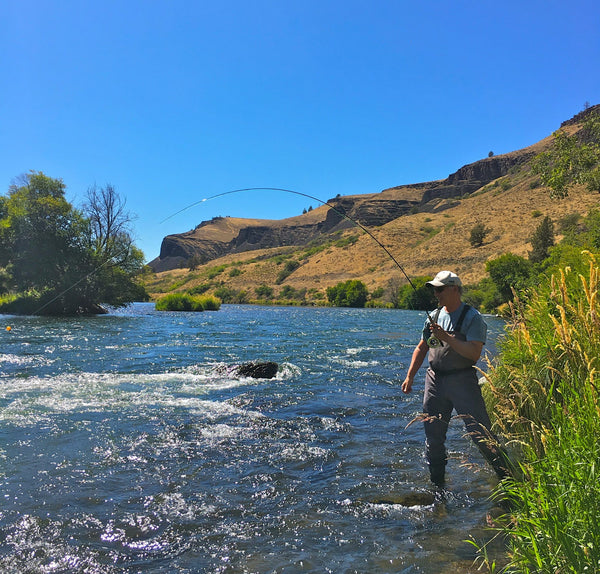 Guide Chronicles: Putting the New Sage X HD to the Test