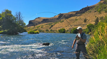 Guide Chronicles: Putting the New Sage X HD to the Test