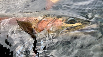 Cold But Productive Days On Crane