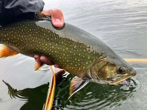 Crane Prairie Update