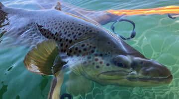 Late Season On East Lake