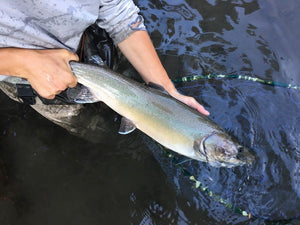 Winter Conditions On The Met