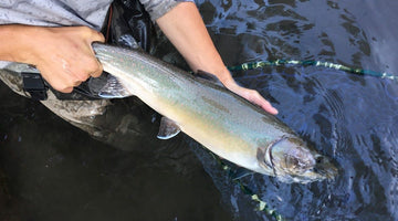 Winter Conditions On The Met