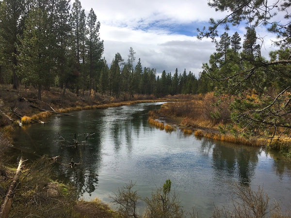 A Happy New Year On The Fall