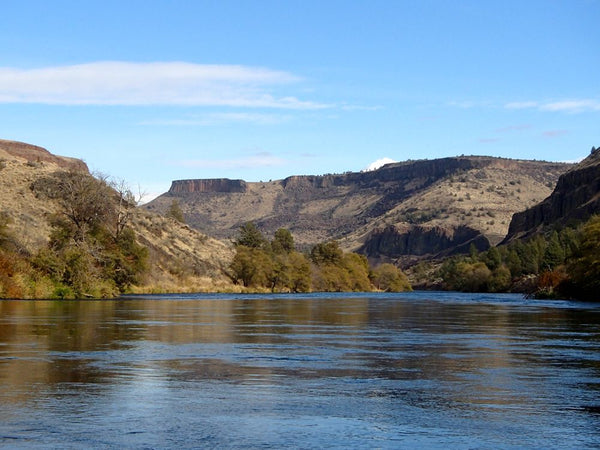 Guide Chronicles: The 10th Month (part 2) with Griff Marshall