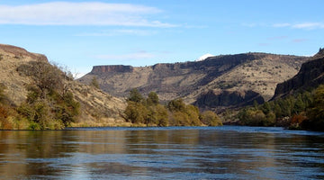 Guide Chronicles: The 10th Month (part 2) with Griff Marshall