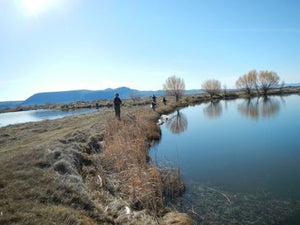 Photos From Lake In The Dunes and More