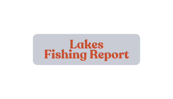 Lakes Update August 16th, 2024