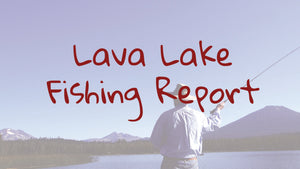 Big Lava Lake Update