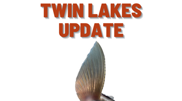 Twin Lakes Report 6/4/21