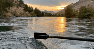 Lower Deschutes Update