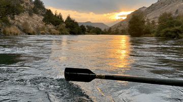 Lower Deschutes Update