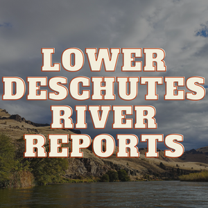 Lower Deschutes River Update