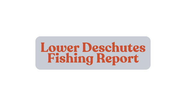Lower Deschutes Update August 30th, 2024