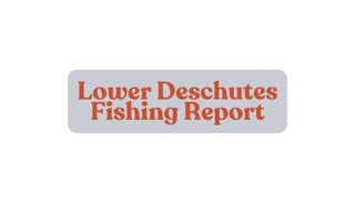 Lower Deschutes Update May 30th, 2025