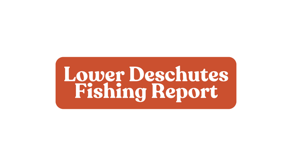 Lower Deschutes Update November 1st, 2024