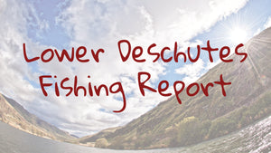 Lower Deschutes River Fishing Report