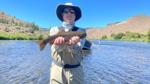 Lower Deschutes Report 6/18/21