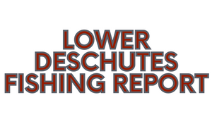 Lower Deschutes Fishing Report 12/24/21
