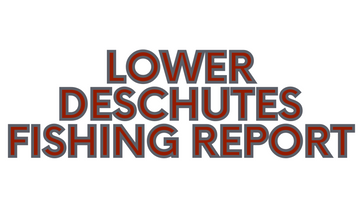 Lower Deschutes Fishing Report 12/24/21