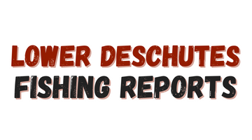Lower Deschutes Update 4/8/22