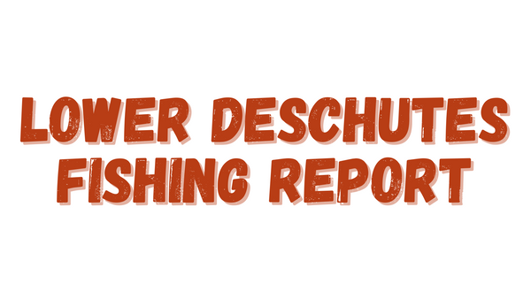 Lower Deschutes Report 10/8/21