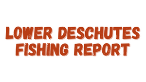 Lower Deschutes Report 10/8/21