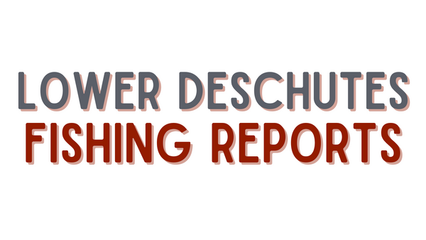 Lower Deschutes Update - 4/22/22