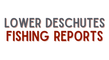 Lower Deschutes Update - 4/22/22